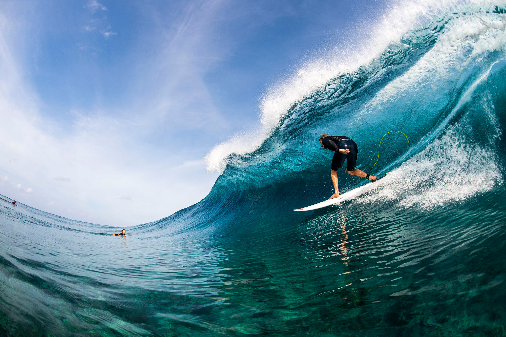 Lib Tech Sales Shop -Lib Tech Sales Shop 294024622 10160229275279919 2039464334369137465 n